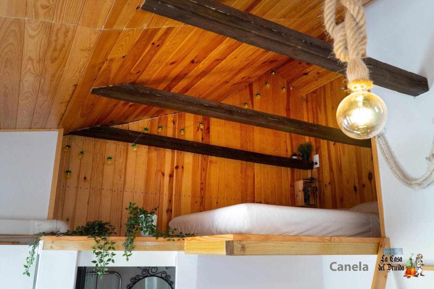 La Casa Del Druida Lejlighed